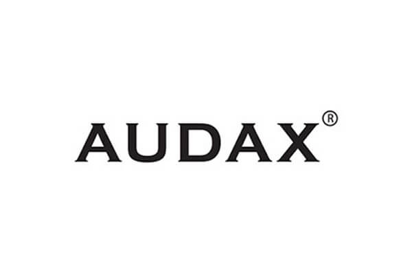 Audax PR-12V 12 POWERFUL Sound AC/DC Portable PA Speaker System (2 wireless handheld microphone)